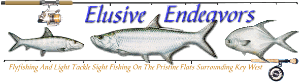 flyfishing key west Elusive Endeavors