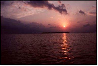 Key West Sunset
